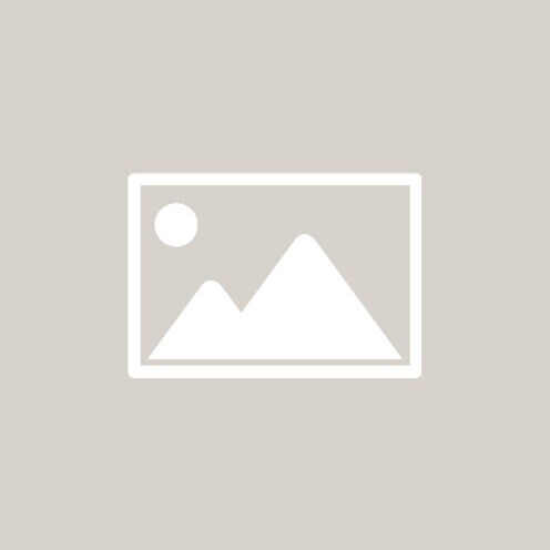 page image placeholder