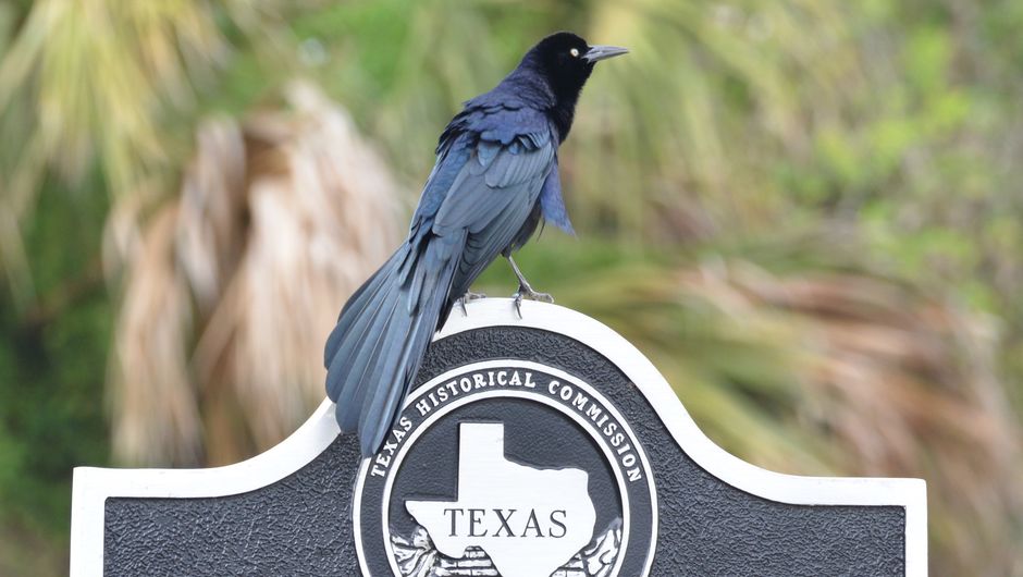 Teaching Jobs In Rio Grande Valley Rio Grande Valley Teach For America