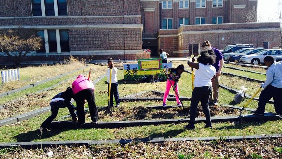 Students create a garden in their school's yard