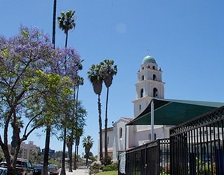 A tall, white building is visible in the background, with palm trees and blossoming green trees are in the foreground, with an urban landscape.