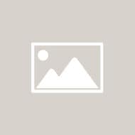 page image placeholder